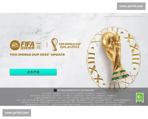 FIFA电竞世界杯赛程，不仅仅是游戏，更是足球的另一种表达