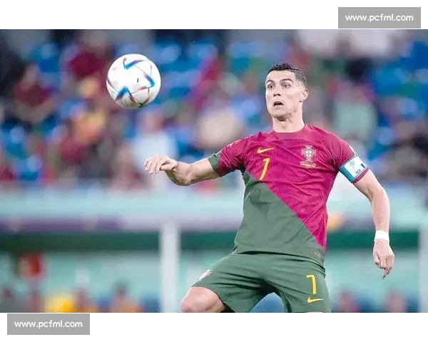 一杯敬你，一杯敬我，致敬世界杯最可爱的球迷！