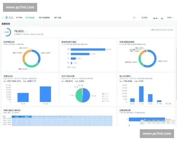 数据说话！电竞报告深度解析用户画像，你属于哪一类